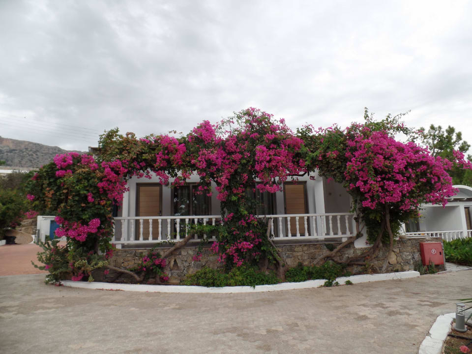 Bungalow Beispiel Hotel Kakkos Bay