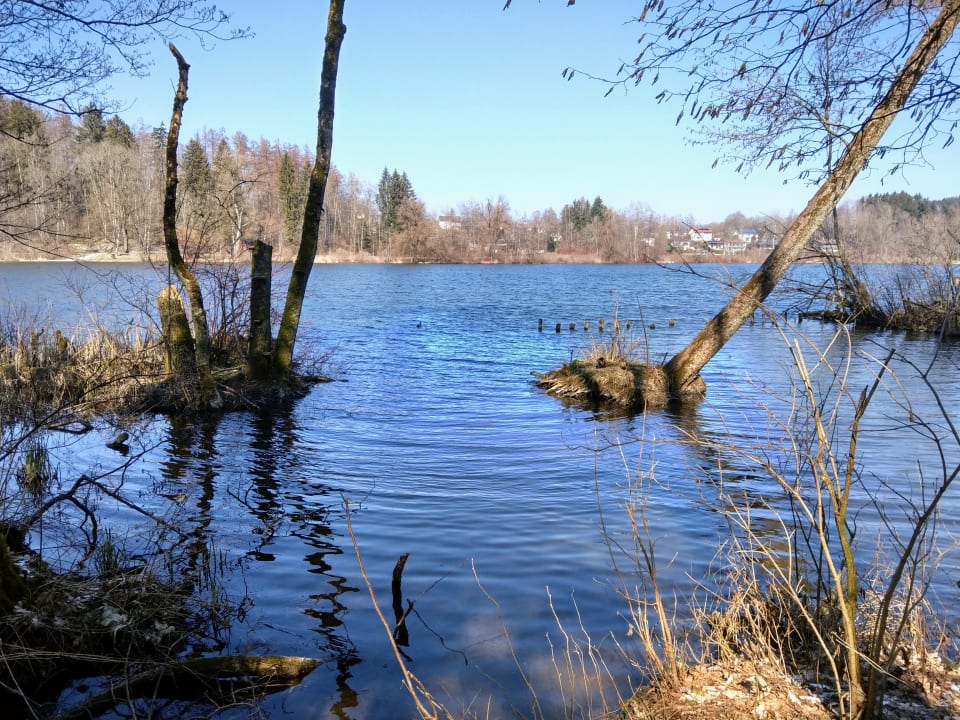 Ausblick Gasthaus Bayrischer Hof