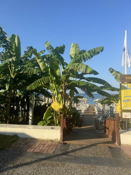 Strand Seaden Quality Resort & Spa