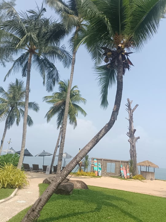 Strand Moracea by Khao Lak Resort