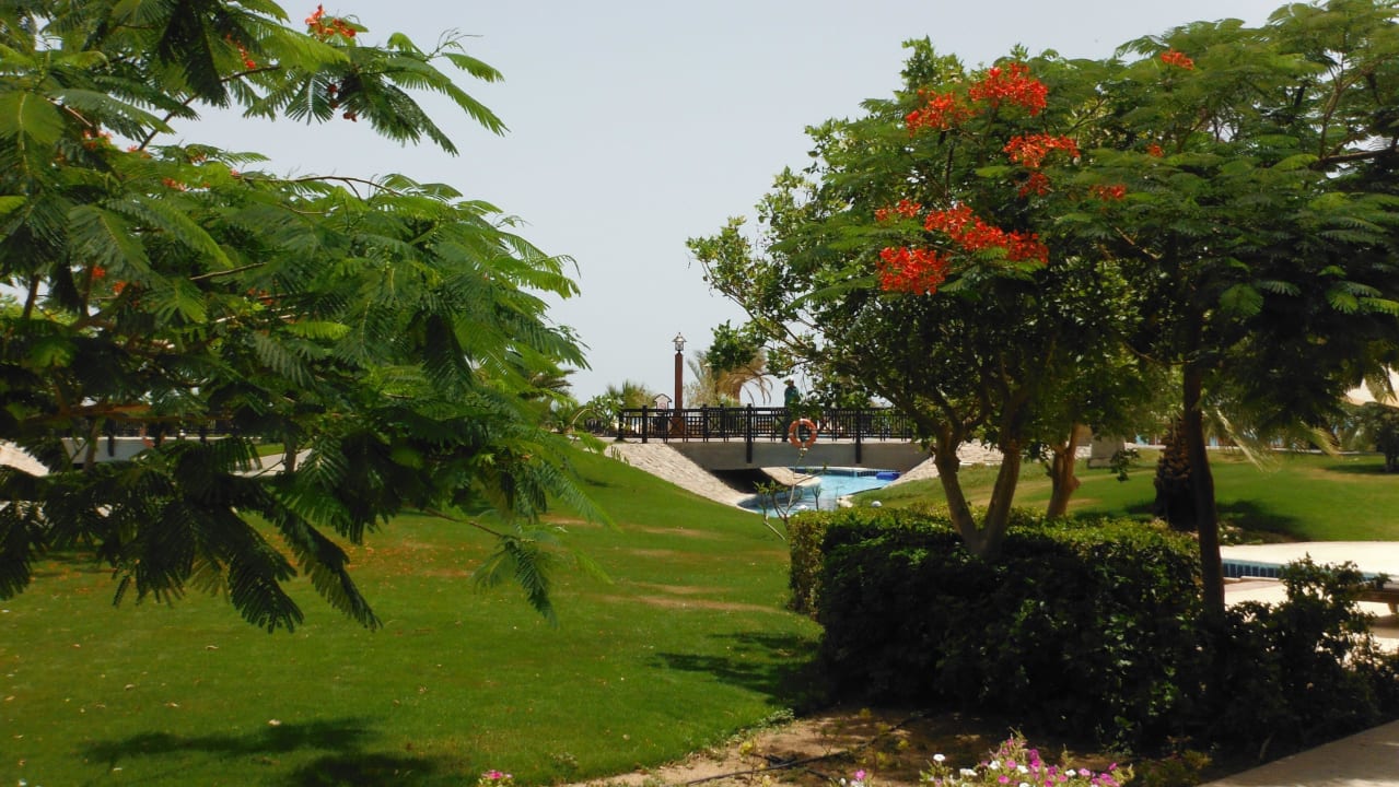 Gartenanlage Steigenberger ALDAU Beach Hotel