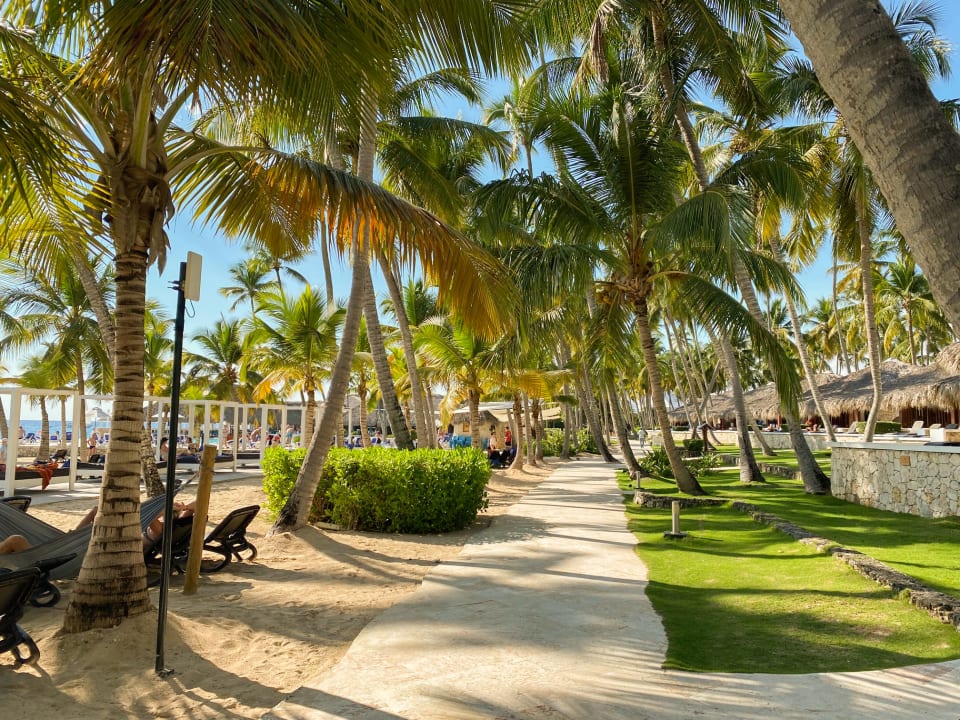Gartenanlage Hotel Viva Dominicus Beach by Wyndham - All Inclusive Resort