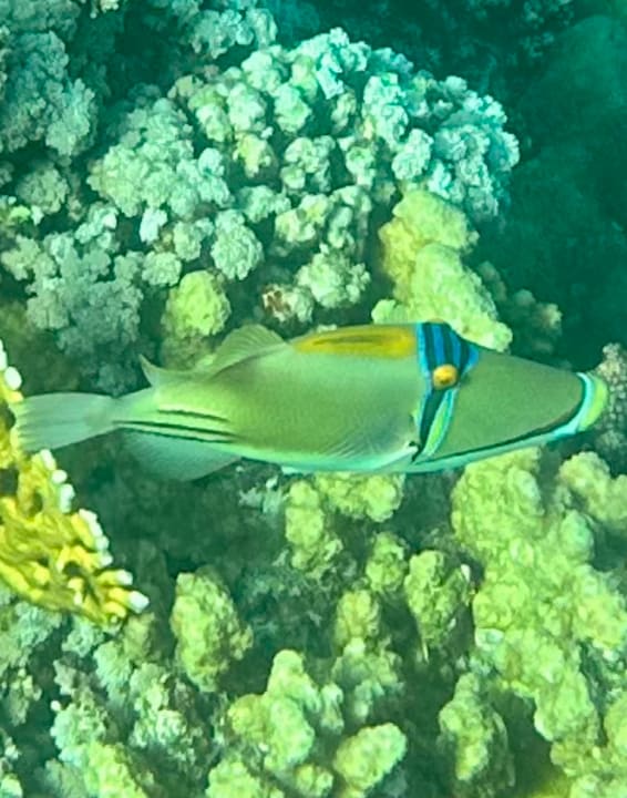 Sport & Freizeit Casa Mare Resort