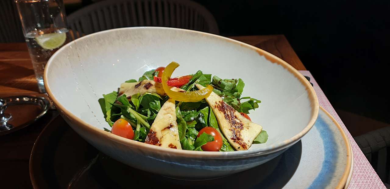 Gastro JAZ Elite Asteria