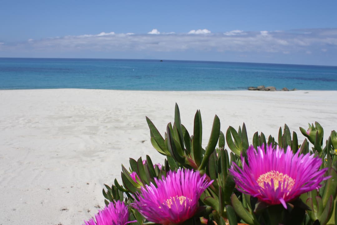 Strand Hotel Villaggio Il Gabbiano