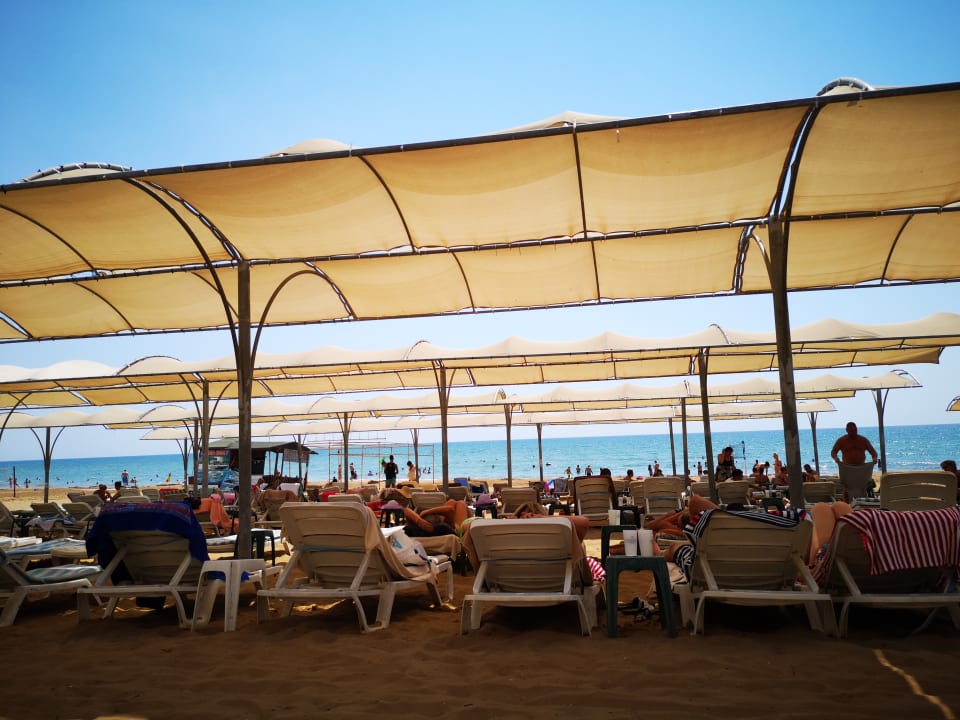 Strand Hotel Orfeus Park