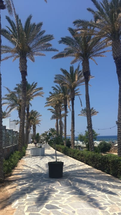 Gartenanlage Minos Imperial Beach Resort Milatos Crete