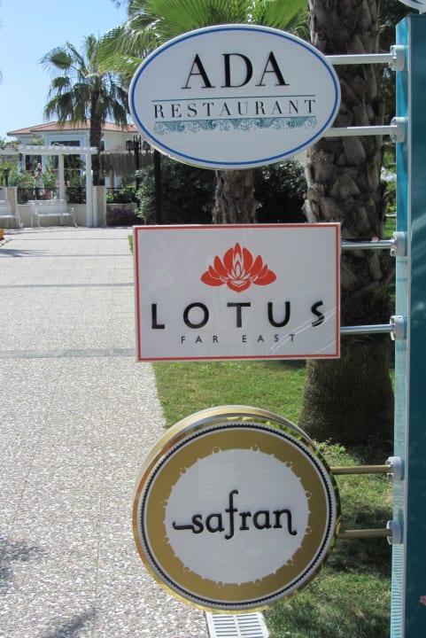 3 Spezialitätenrestaurants: Lecker   Paloma Oceana