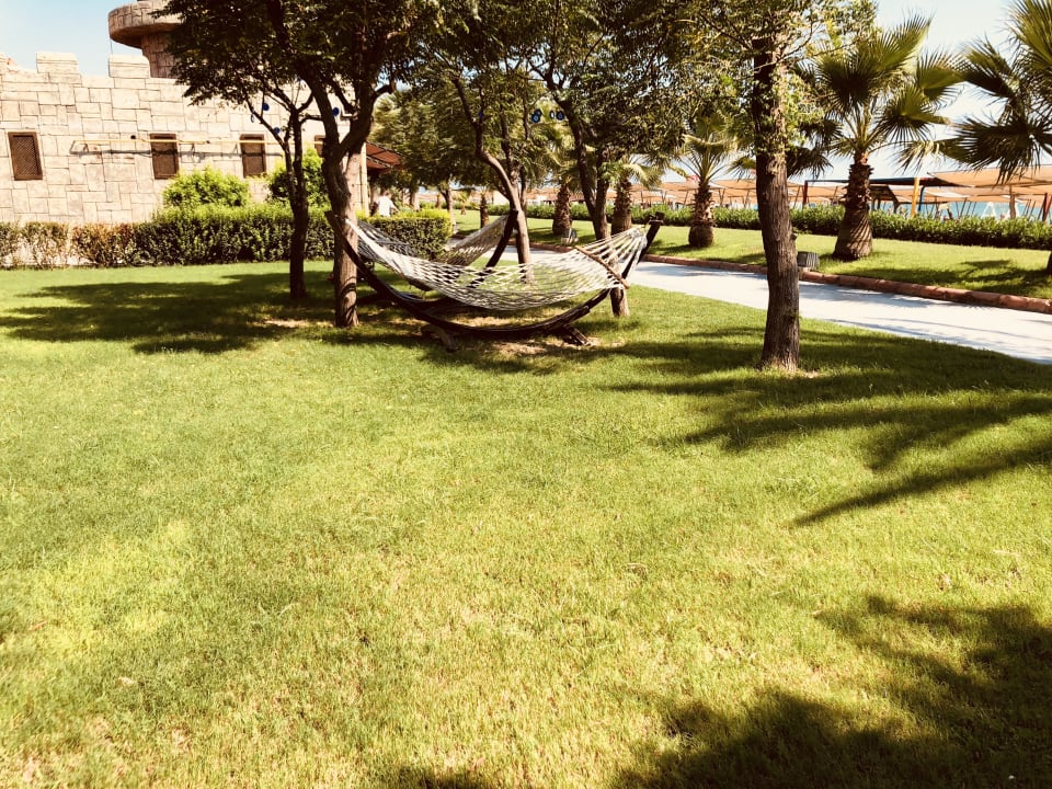 Strand Sherwood Exclusive Lara