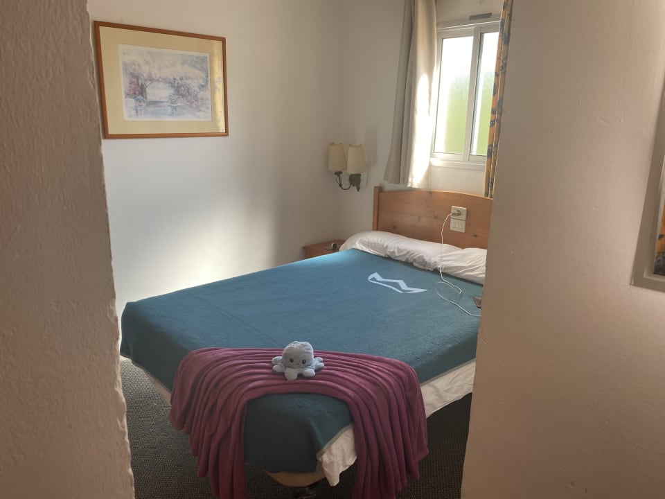 Zimmer Hotel Riu Oliva Beach Resort