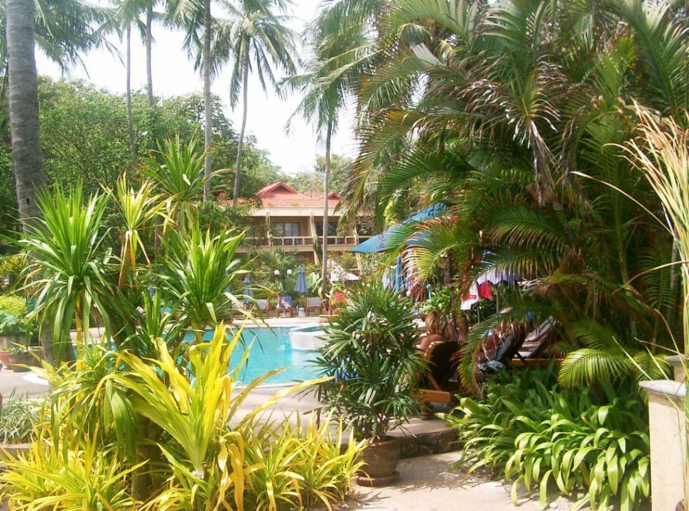 Pool & Garten The Fair House Beach Resort