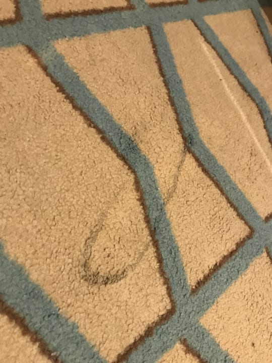 Zimmer Megasaray Club Belek