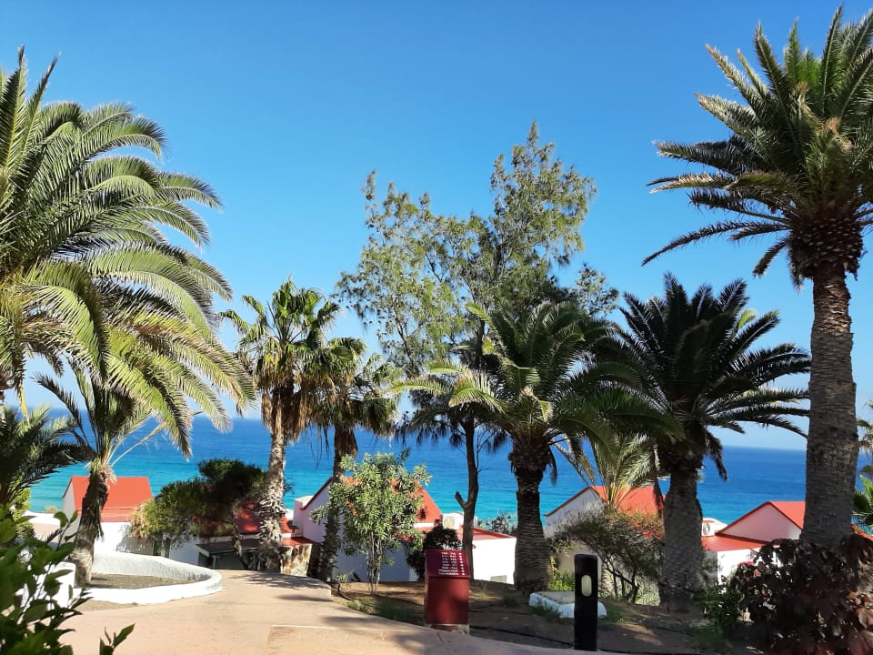 Ausblick Aldiana Club Fuerteventura