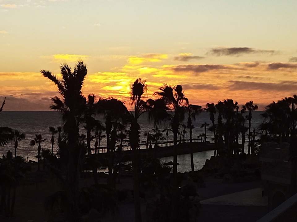 Ausblick Pickalbatros Citadel Resort