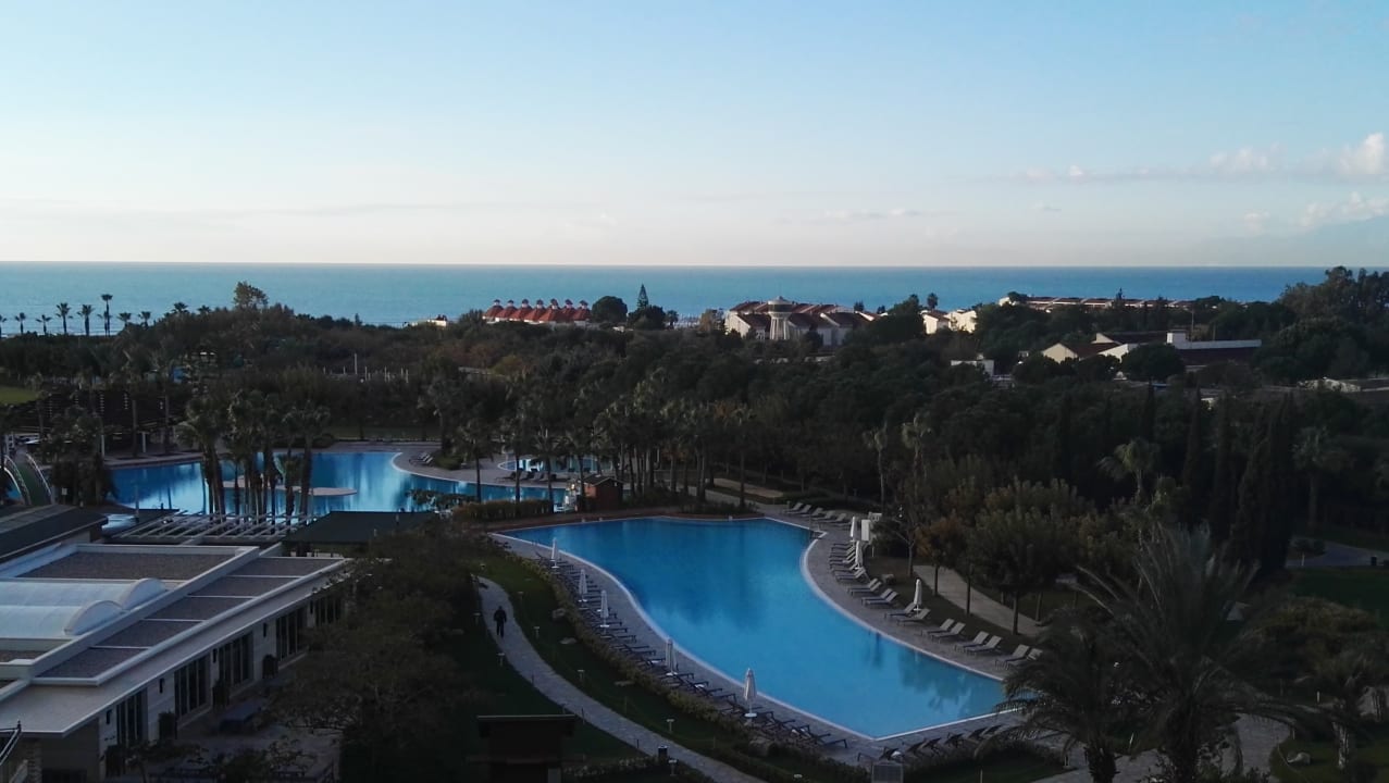 Pool Lara Barut Collection