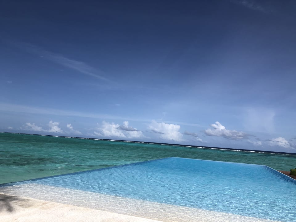 Pool Summer Island Maldives