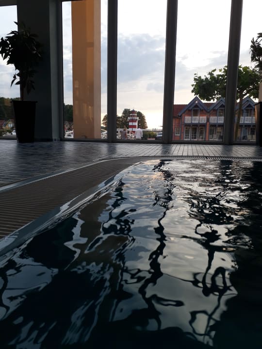 Pool Precise Resort Hafendorf Rheinsberg