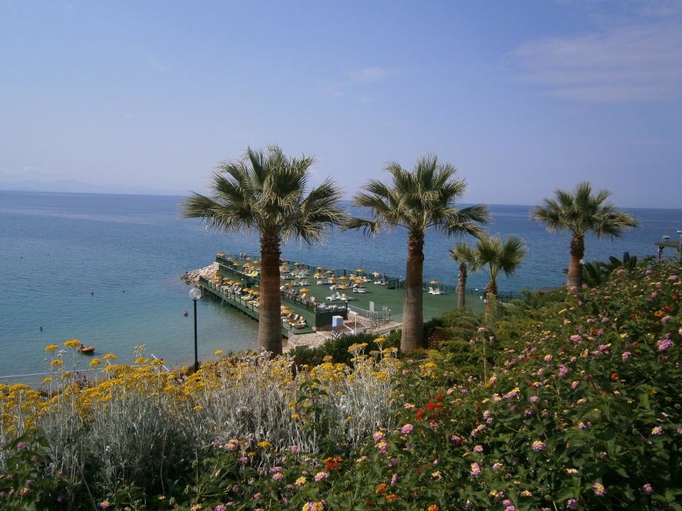 Hotel Palm Wings Beach Resort Anadolu Hotels Didim Club