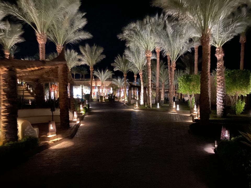 Gartenanlage Reef Oasis Beach Resort