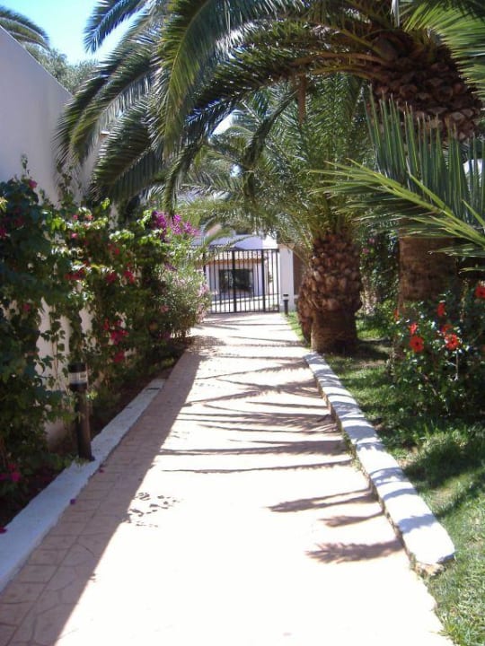 Der Weg zum Hotel Gavimar Ariel Chico Club & Resort