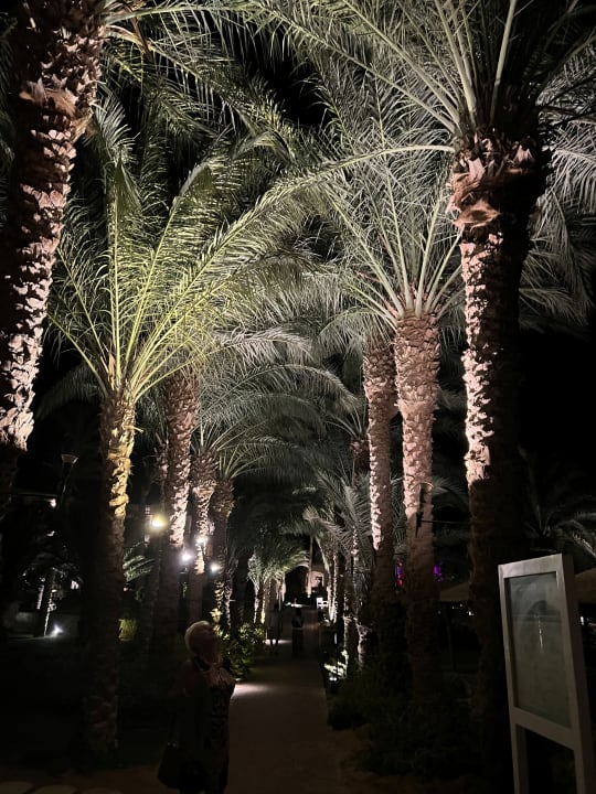 Gartenanlage Fort Arabesque Resort, Spa & Villas
