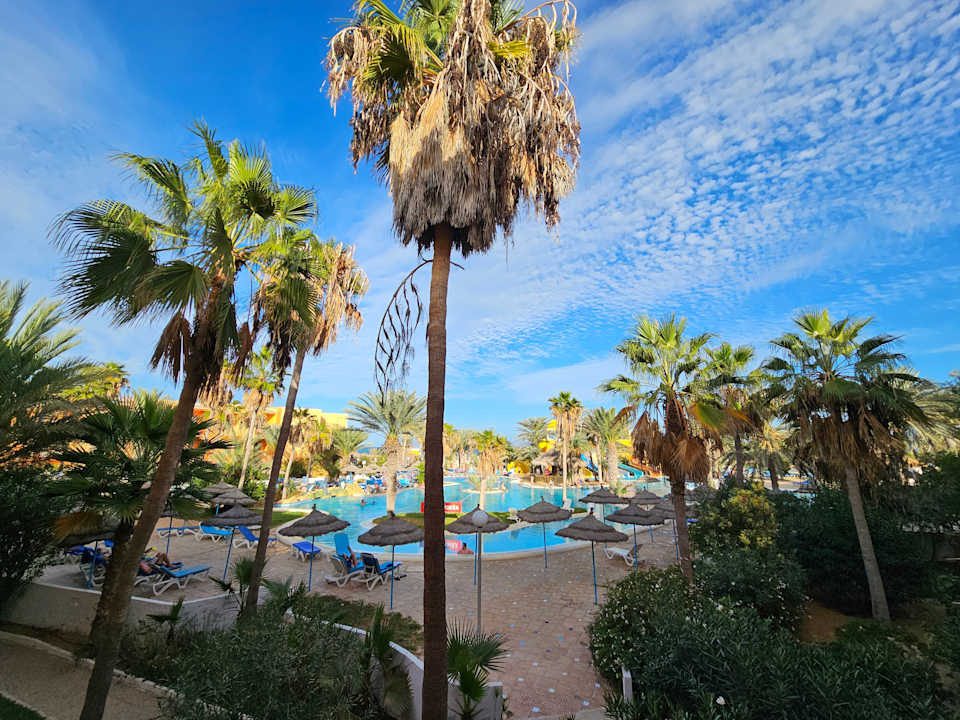 Zimmer Caribbean World Thalasso Djerba