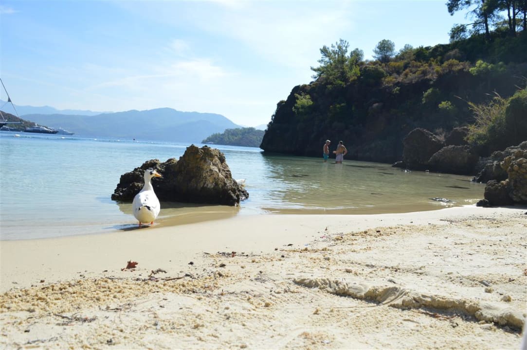 Strand D Maris Bay
