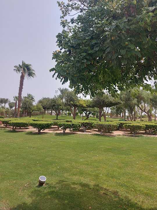 Gartenanlage Steigenberger Aqua Magic