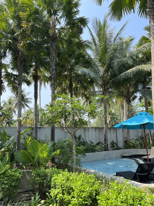 Pool Grand Mercure Khao Lak Bangsak