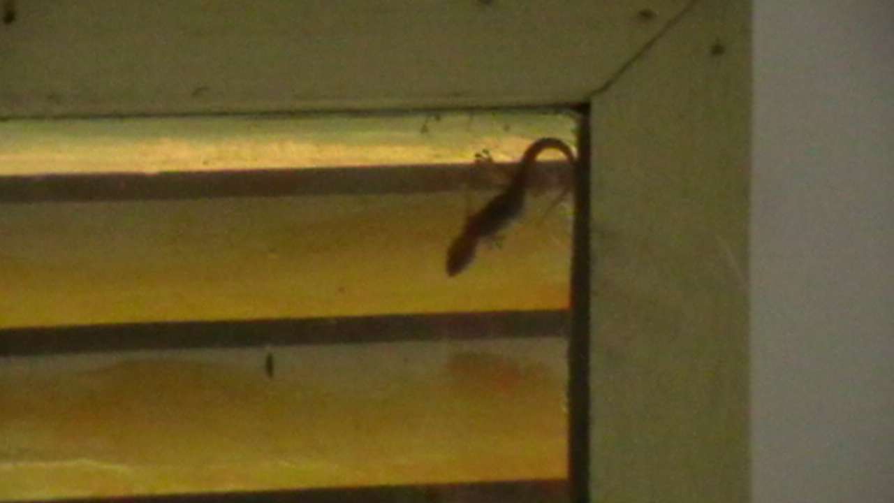 Zimmer Sunshine Guesthouse