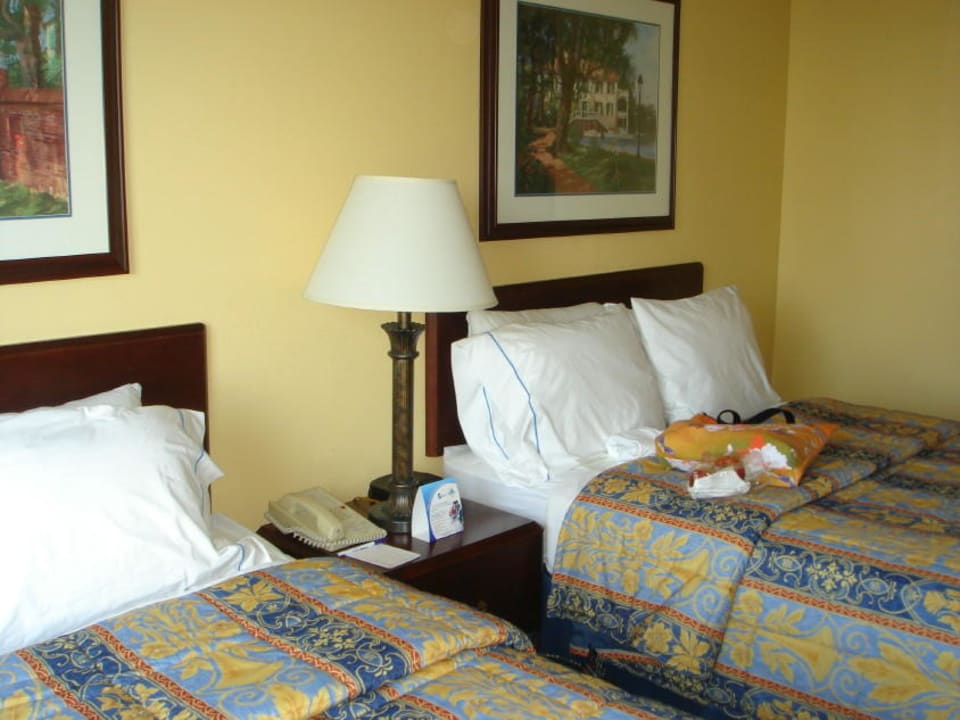 Zimmer 1 SpringHill Suites Charleston Downtown Riverview