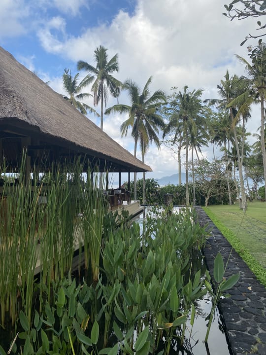 Gartenanlage Hotel Alila Manggis