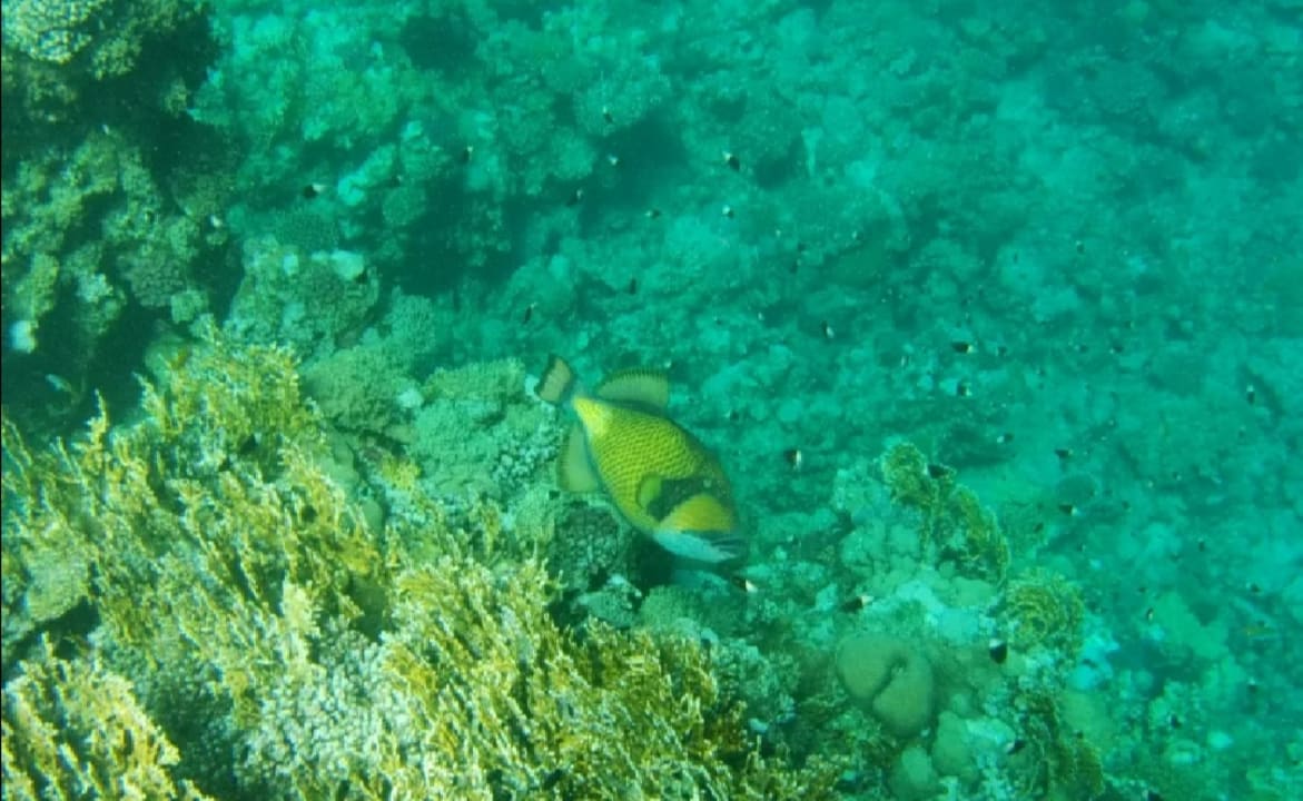 Strand Bliss Nada Beach Resort