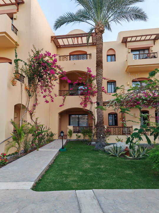 Gartenanlage Steigenberger Coraya Beach - Adults only