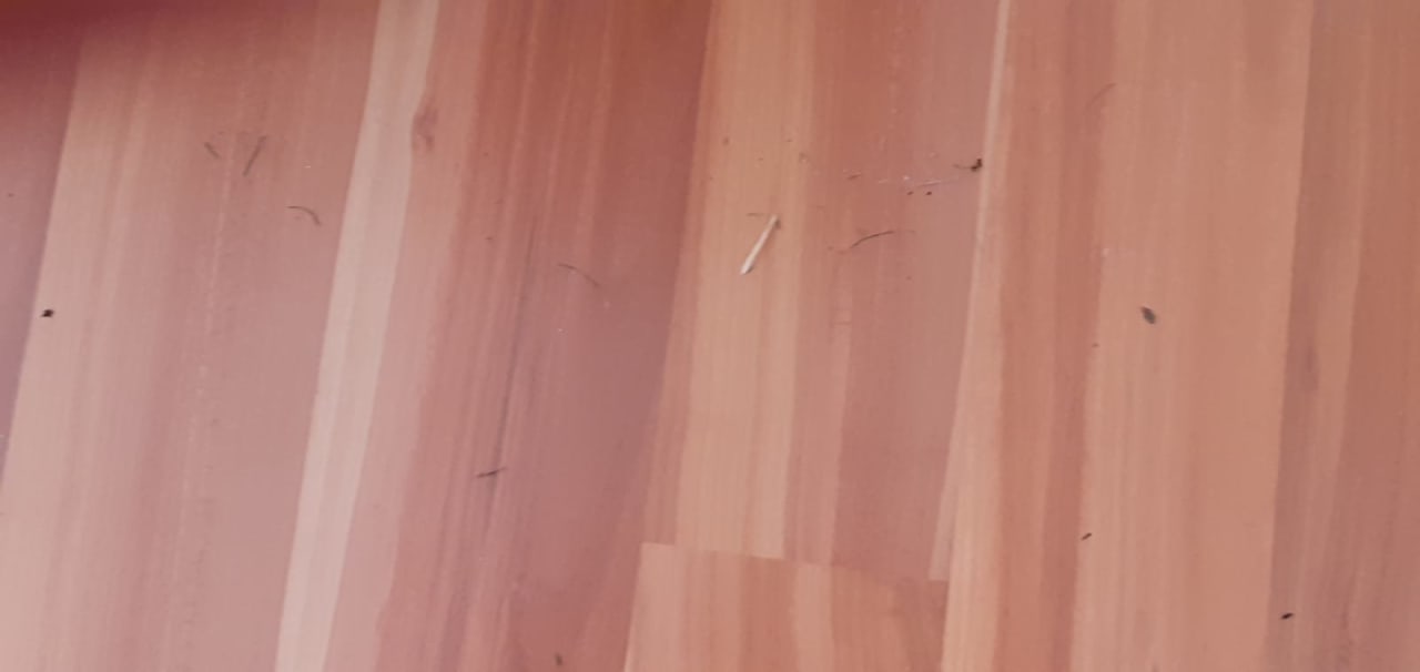 Zimmer Seehotel Birkenhof