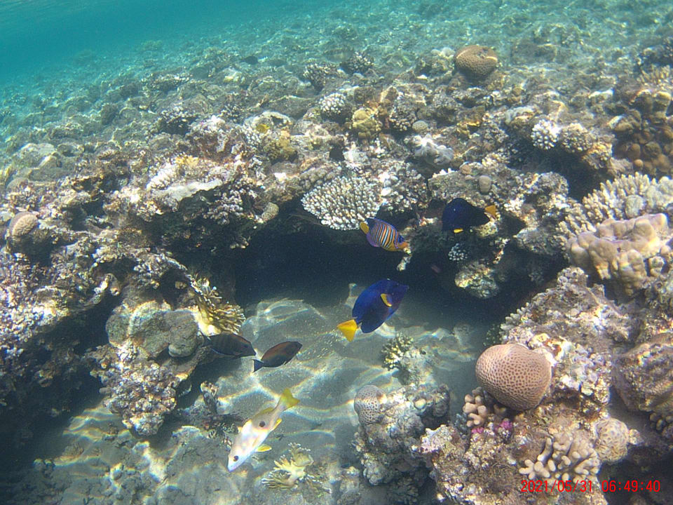 Strand Happy Life Village