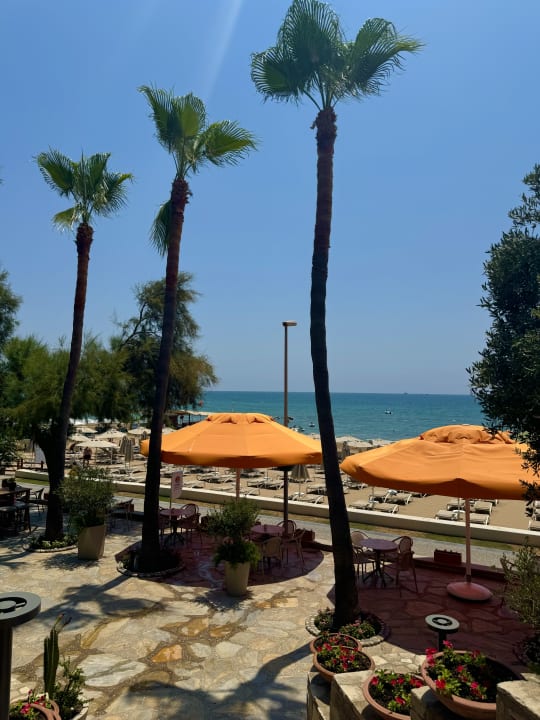 Ausblick Arum Barut Collection