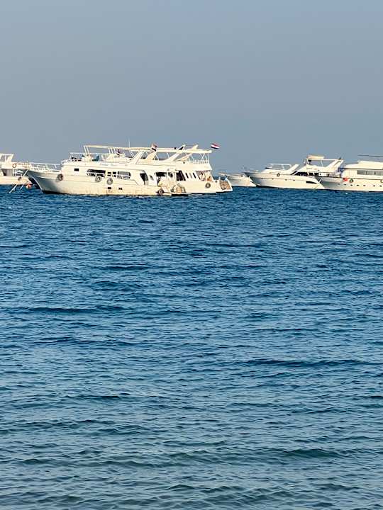 Strand The Grand Palace - Adults only