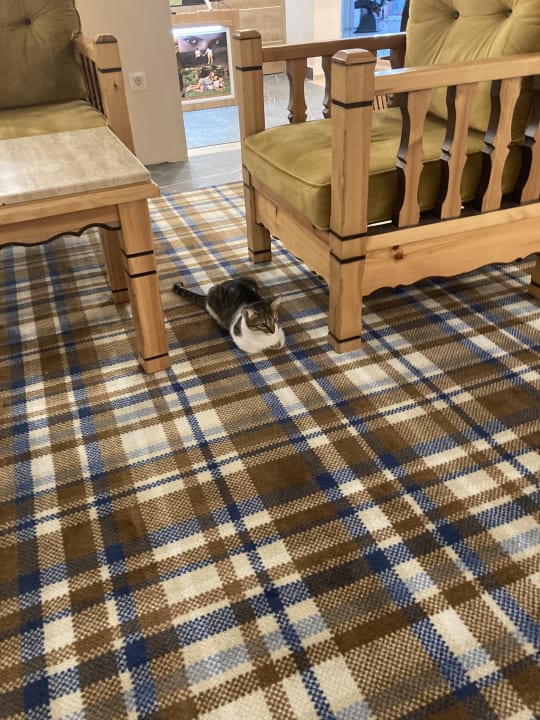 Lobby Nerton Hotel - Erwachsenenhotel ab 16 Jahren