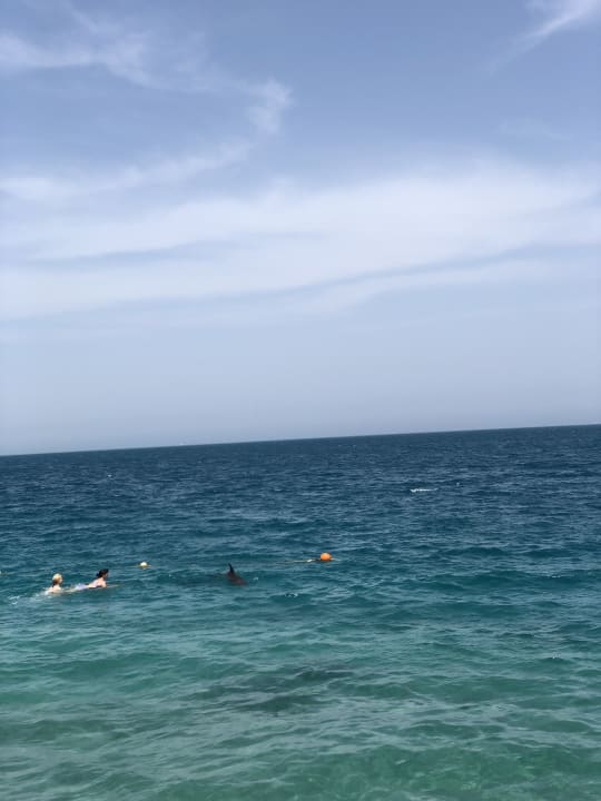 Strand Palm Beach Resort