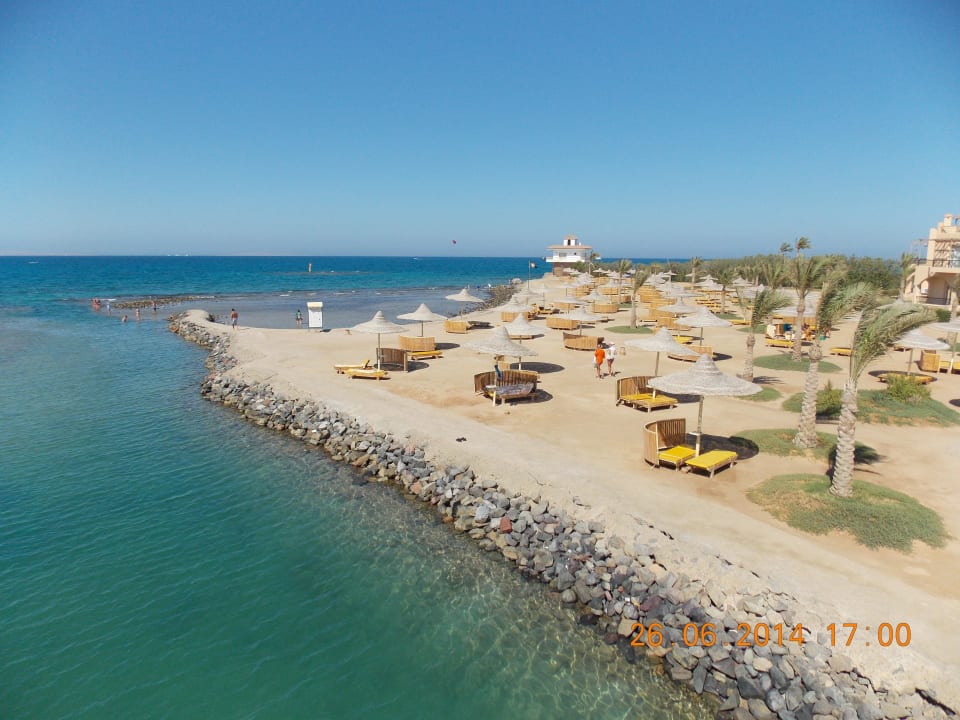 Вид сверху Desert Rose