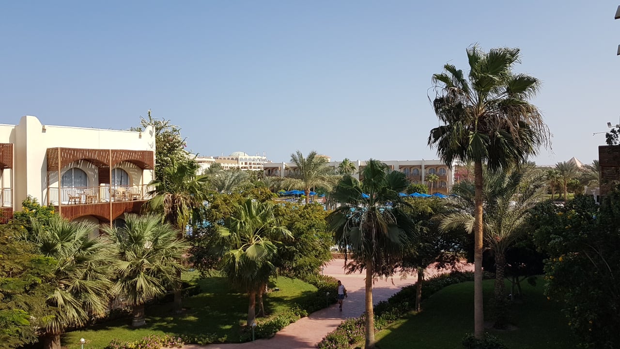 Ausblick Desert Rose