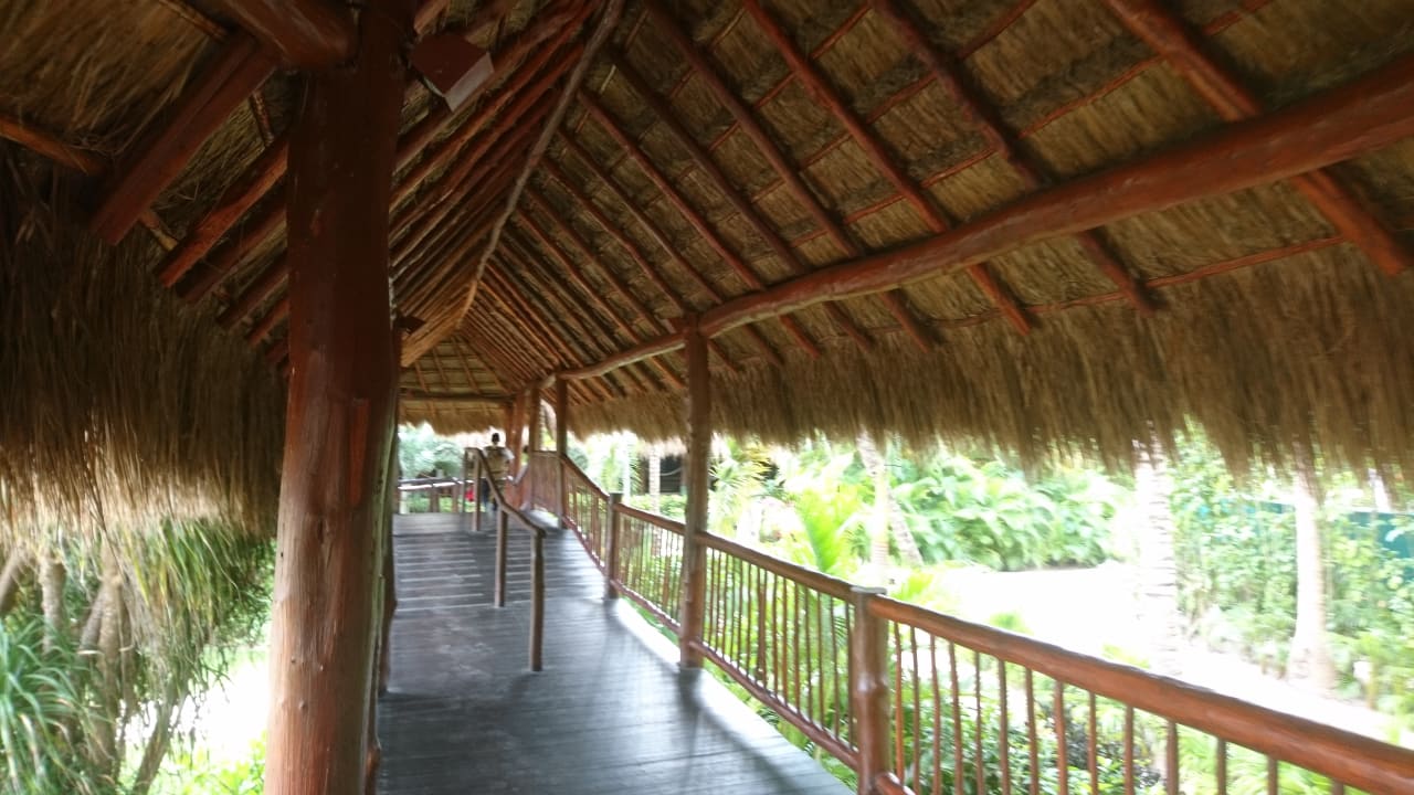 Gartenanlage Akumal Bay Beach & Wellness Resort