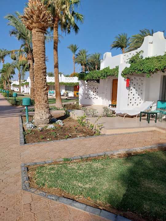 Zimmer Shams Safaga Resort