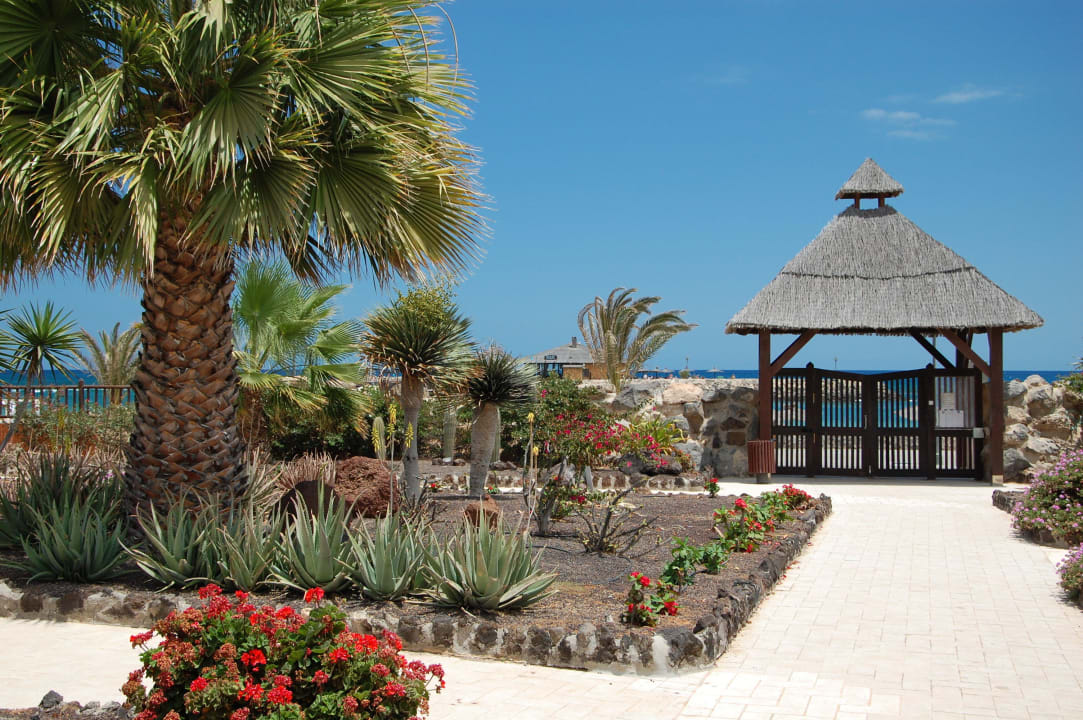Ogród i wyjście na deptak Elba Carlota Beach & Golf Resort
