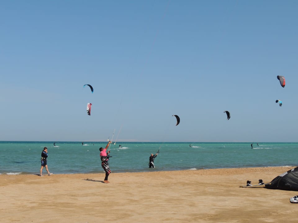 Наш отель AMC Royal Hotel & SPA