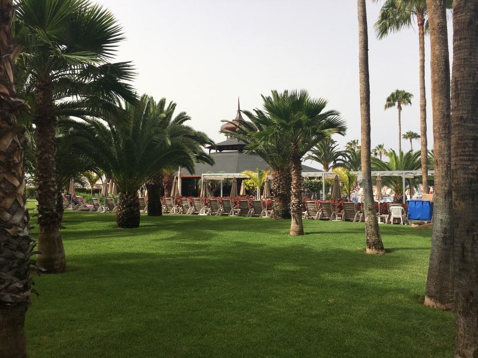 Gartenanlage Hotel Riu Palace Tenerife