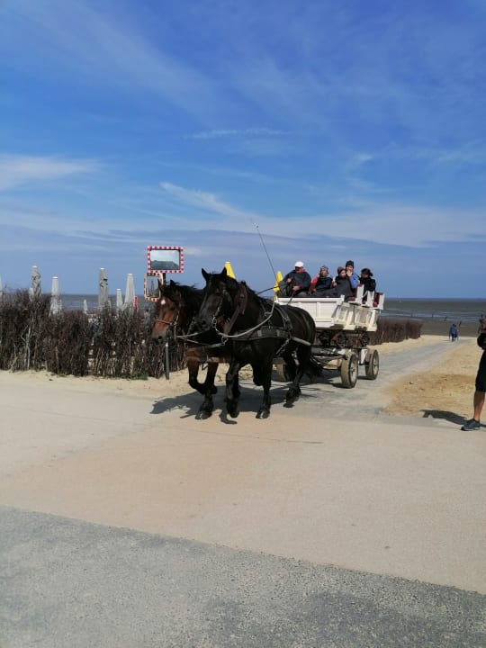 Sonstiges Badhotel Sternhagen