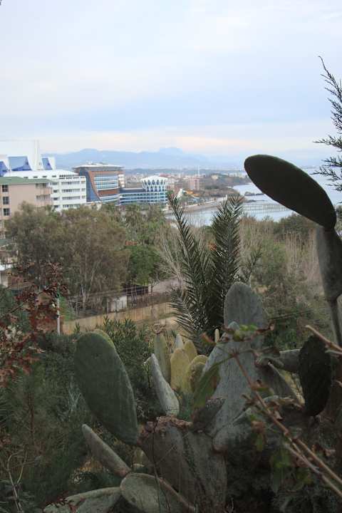 Blick auf das Hotel und riesige Kakteen Granada Luxury Okurcalar