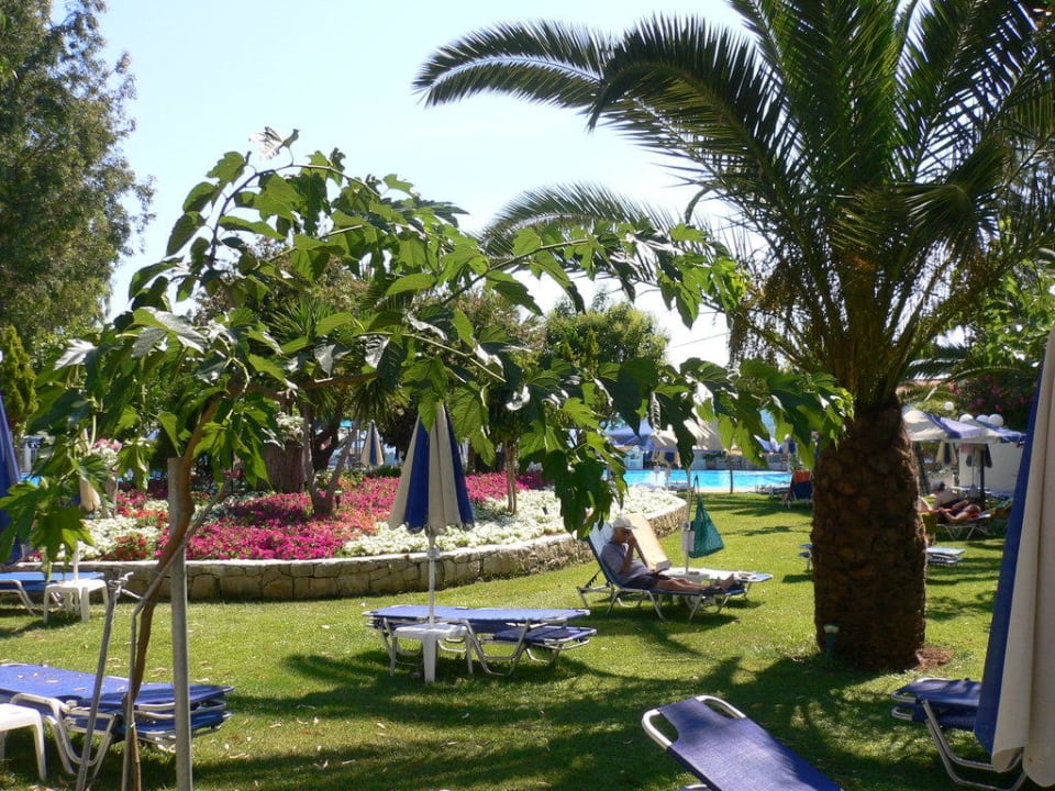 Liegewiese im Poolbereich Corissia Beach Hotel